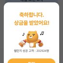 연어의추억 이미지