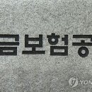 예금보험공사 이미지