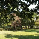 온평리-8 이미지