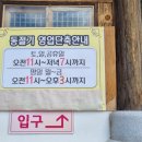 벽오동화순점 이미지