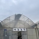 새서울농장 | 서울근교 아이랑 가볼만한 곳 | 파주 실내 동물 먹이주기 체험 나눔농장 34개월 쌍둥이 후기