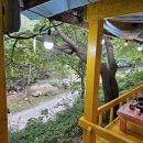 돌마당식당 이미지