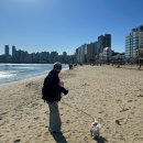 이조숯불갈비이조정식 | 부산 망미동 찐 노포 , 애견동반 가능한 이조숯불갈비 재방문 후기