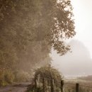 기초부터 시작하는 영어회화 이미지