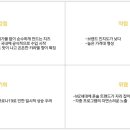 시노베코리아 이미지