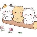바앤비 이미지