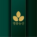 맛있는 쌀 품종 찾는다면? 백옥향+미호쌀 황금배합으로 탄생한 찰지고 고소한 밥