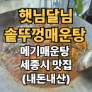 햇님 달님 | 세종시 솥뚜껑 메기 매운탕 맛집 <햇님달님> 내돈내산 후기