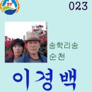 양갑 Daum카페