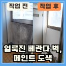 화정동 옥빛마을 12단지 앞 | 고양 화정동 곰팡이로 얼룩진 베란다 벽, 페인트 도색