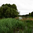 장자호수공원 이미지