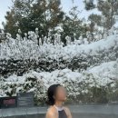 국내 겨울 온천 여행 아산 파라다이스 스파 도고 내돈내산 후기