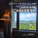 J-054 | 코모도호텔 경주 / 뷰 맛집 가성비 좋은 경주 숙소 후기 ( 조식 &amp; 수영장 )