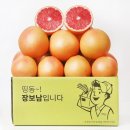 장보남
