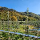 합덕보건진료소 이미지