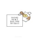 진심 - 제주시 오복4길 24 | 진심