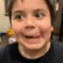 황금족보 이미지