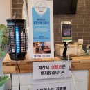 선비꼬마김밥지묘점 이미지