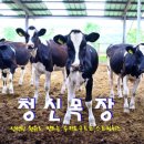 청신목장 이미지