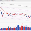 피티에스 이미지