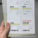 [임신기록4]시험관아기 임신9주~12주기록,입덧,해야할일(기형아1차검사,산후조리원예약, 각도법)
