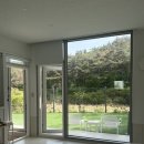 위클라드 애견 풀빌라 Poolvilla 7 내돈내산 후기