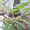 월락초등학교 이미지