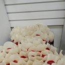 오투 플라워 이미지