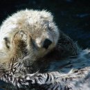 어느날그루밍 이미지