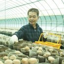 경주농원 이미지