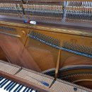 정음음악학원 이미지