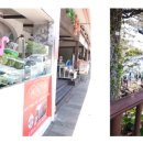 미니 쇠소깍 이미지