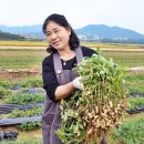 원일농원 이미지