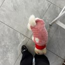 서12-404 | 수완지구 미용실 | 에코레비헤어앤스파 광주하남점 | 솔직후기