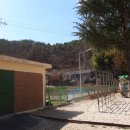 대성초교 이미지