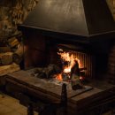 kiss My Dog 이미지