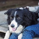 계산메디칼센터 이미지