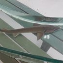 최우영 인성태권도장 이미지