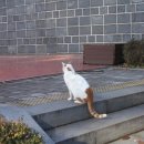 기말고사 직전 20231211-20231217