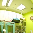 도그플러스 이미지