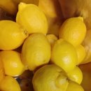 춘천수미닭갈비 이미지