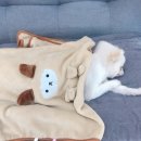 손단장 네일샵 네이버블로그