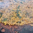 신용두동쭈꾸미