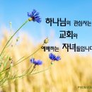 하나님의 관심사는 예배하는 자녀입니다. 이미지