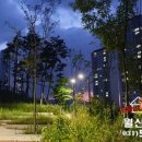 부영공원(월산근린공원) 이미지