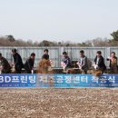영남프린팅 이미지