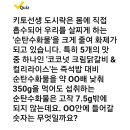 캐시워크 정답 이미지