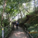 용화어린이공원 이미지