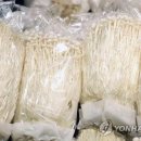 H&C푸드 - 9315 | H&C푸드