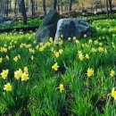 토함산자연휴양림 이미지